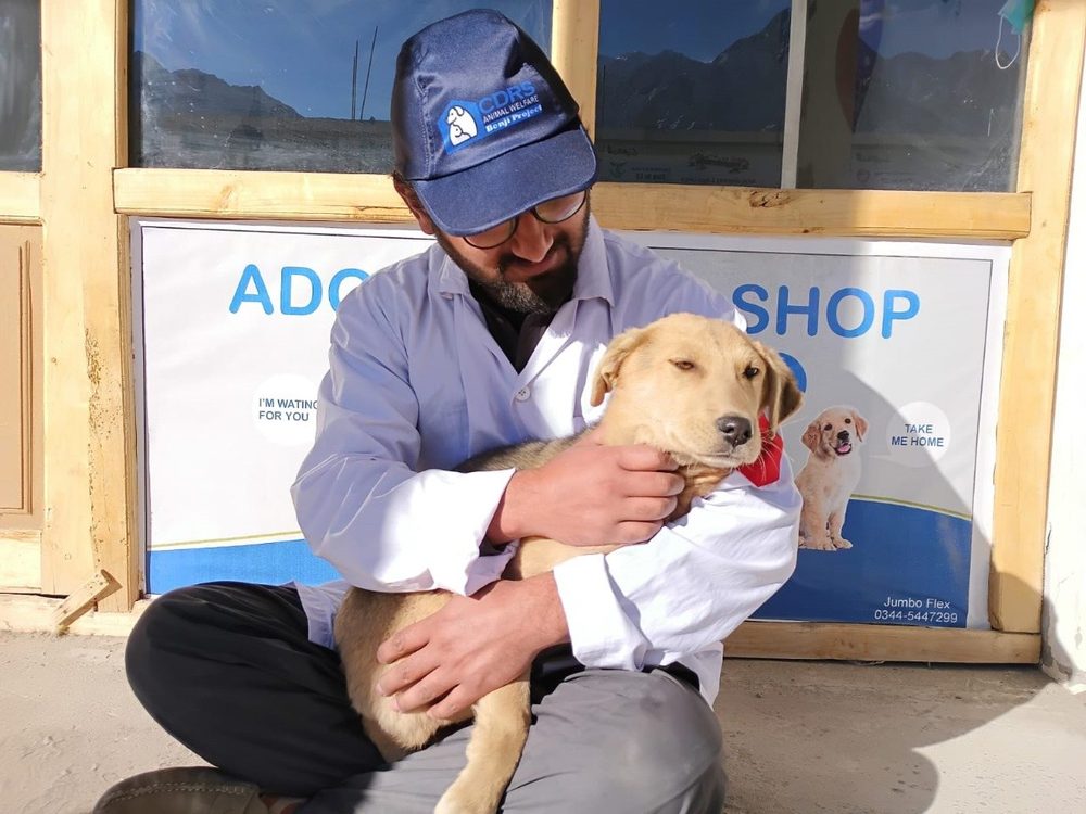 A rescued puppy at the Benji Project adoption shop
