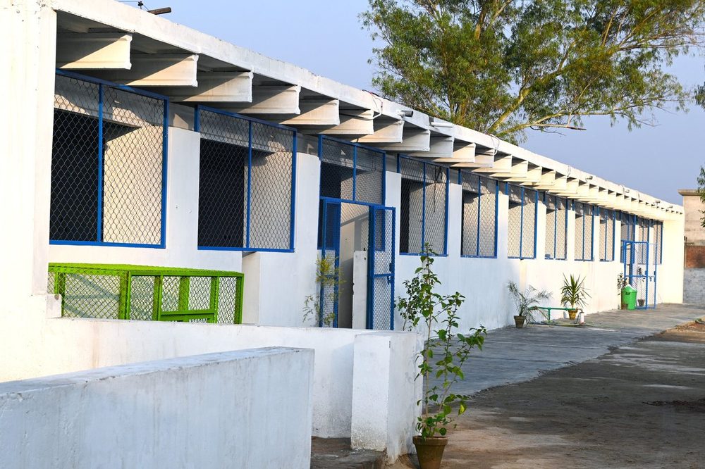 The kennel block at the CDRS Benji animal shelter