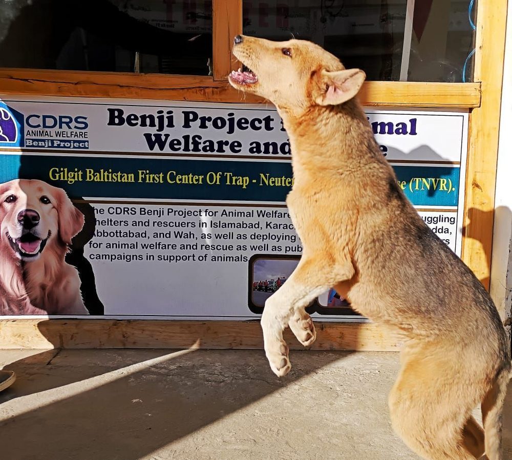 The Benji Project centre in Skardu, Gilgit-Baltistan
