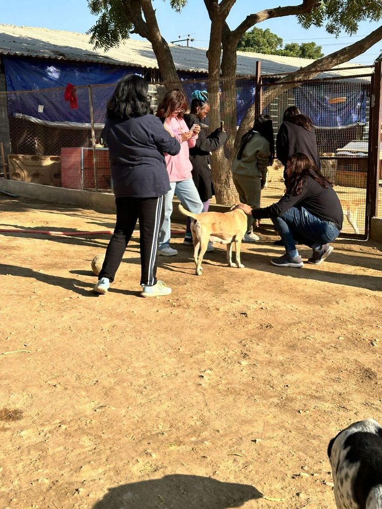 A rescue at the CDRS Benji Karachi centre