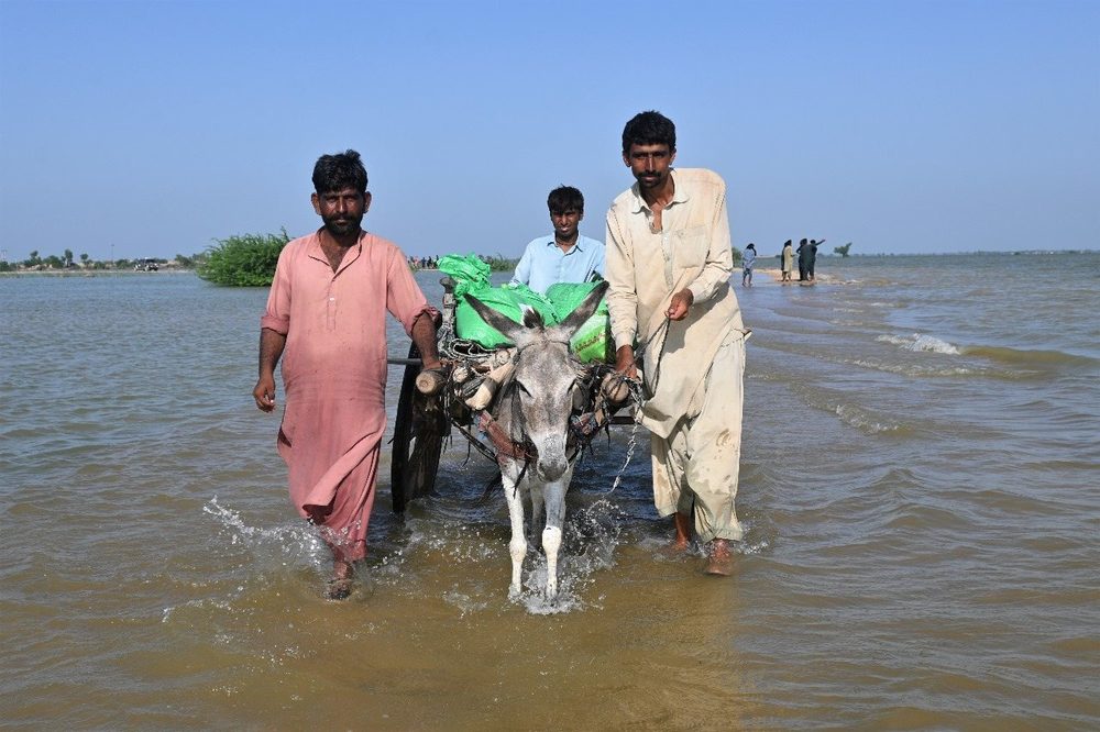 Villagers leading a donkey through floodwater