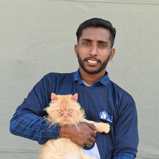 Dawood Pervaiz