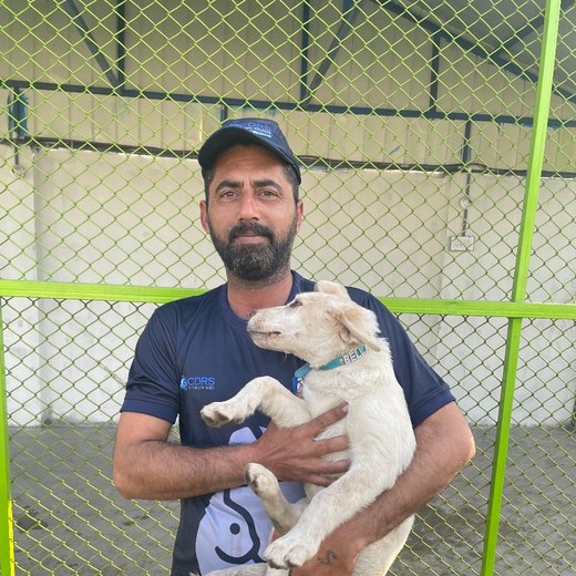 Najeeb Awan