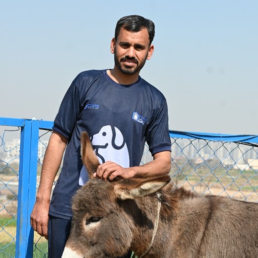 Raja Raasib